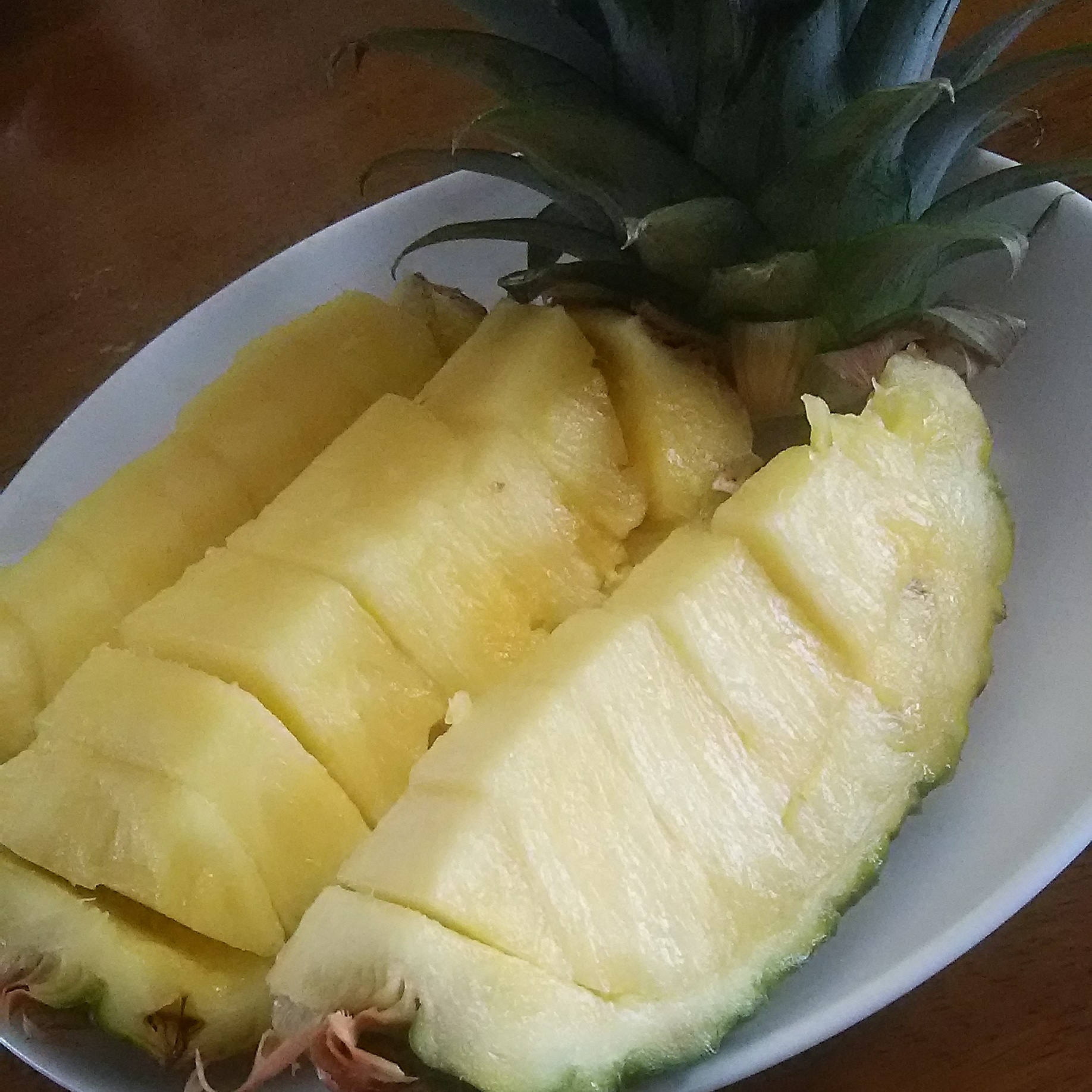 気を取り直して初配信