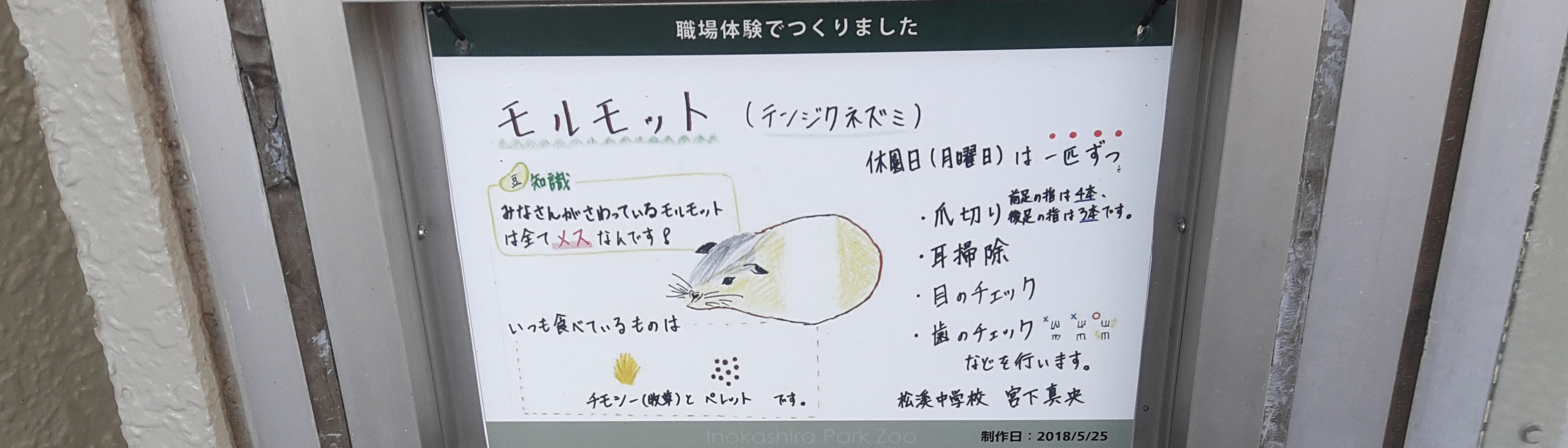 ようこそいのかしらパークへ