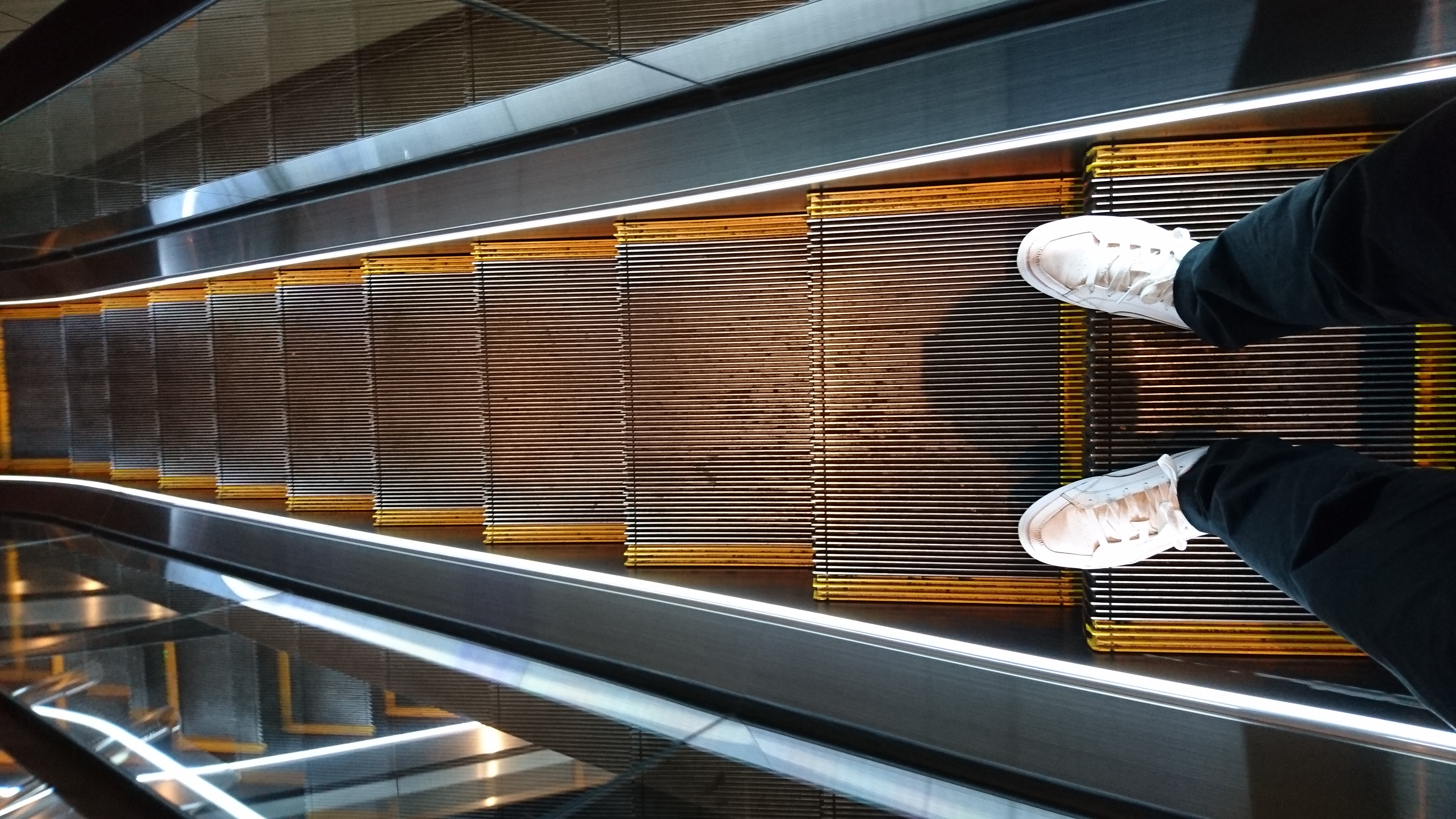 映画を観ることが出来た。