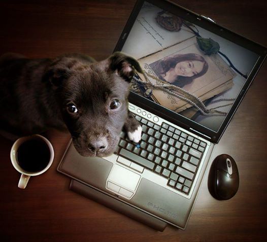 ともラジ♪ ～「好き」を発信するRadio～