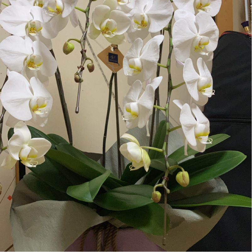 速くも、月半ばを迎えてしまいました♪(๑ᴖ◡ᴖ๑)♪