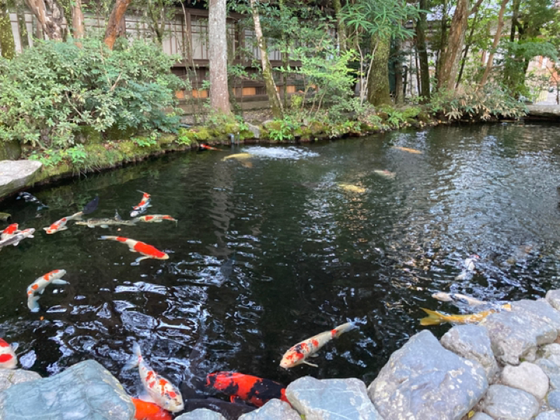 女性性を発揮する時代に出会えて想うこと