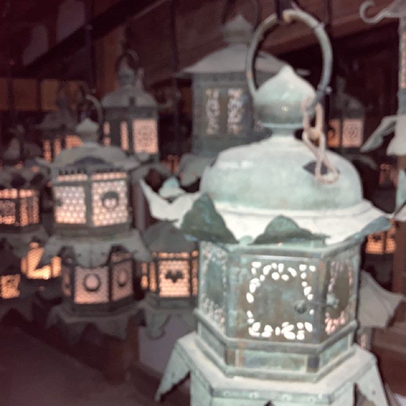 奈良に呼ばれました。