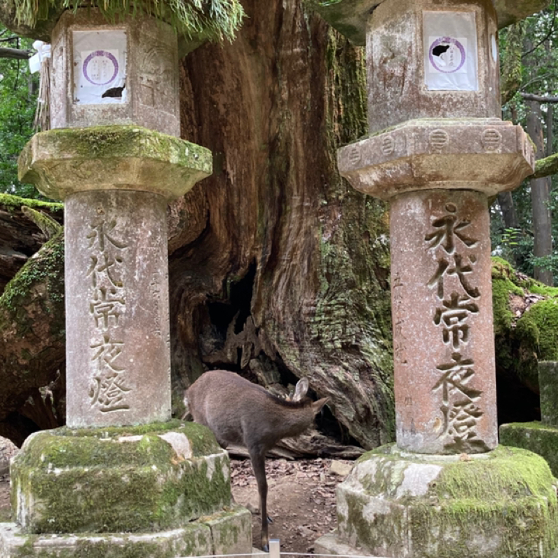 出会いの不思議が連発