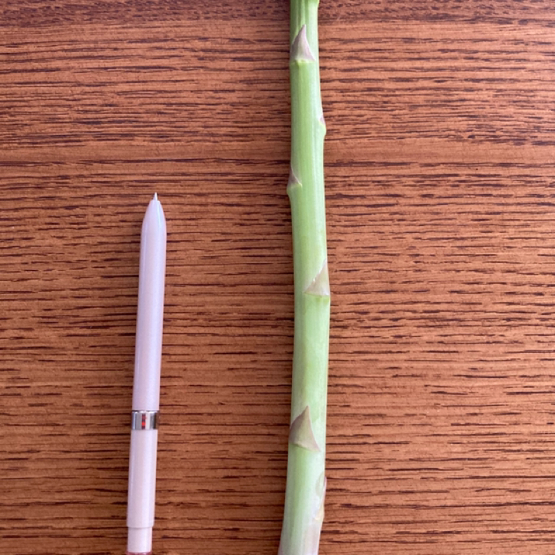 2026年の春分点の話し