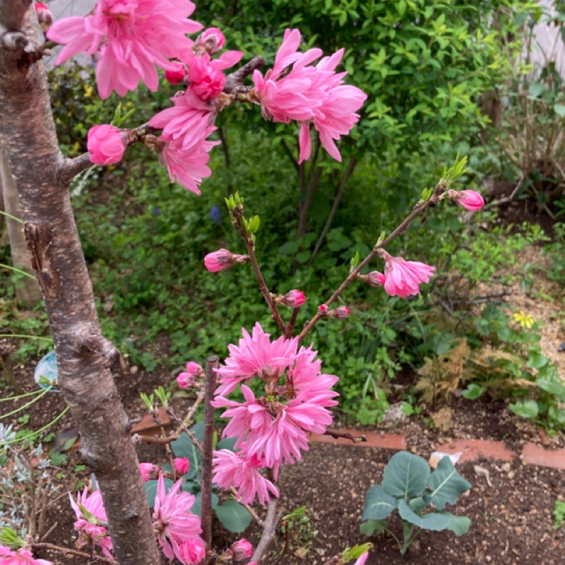 2026年4月1日年度が始まりました。