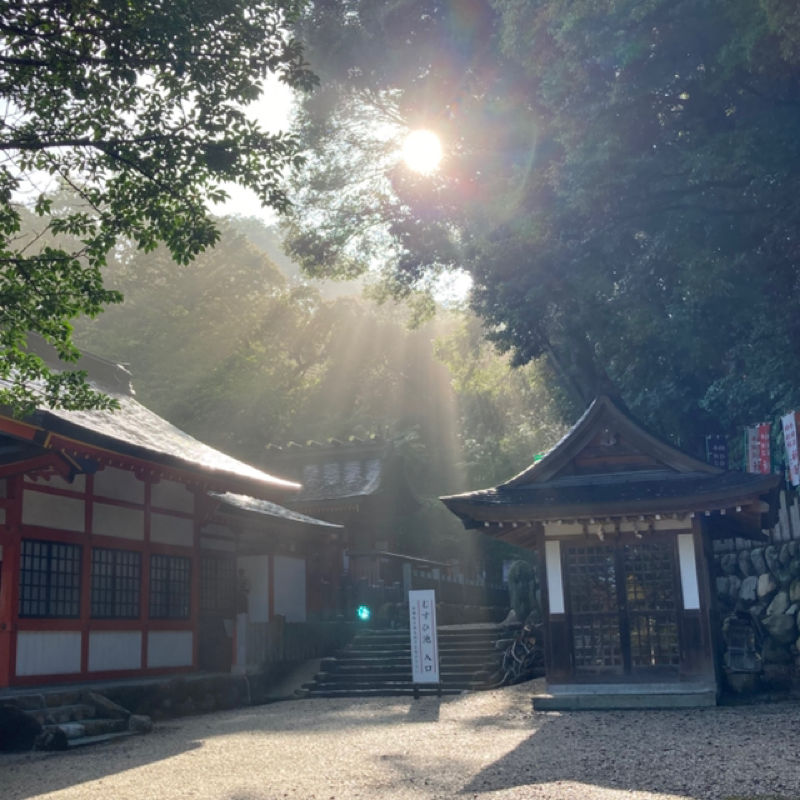暑さお見舞いと夏を味わっていますか？
