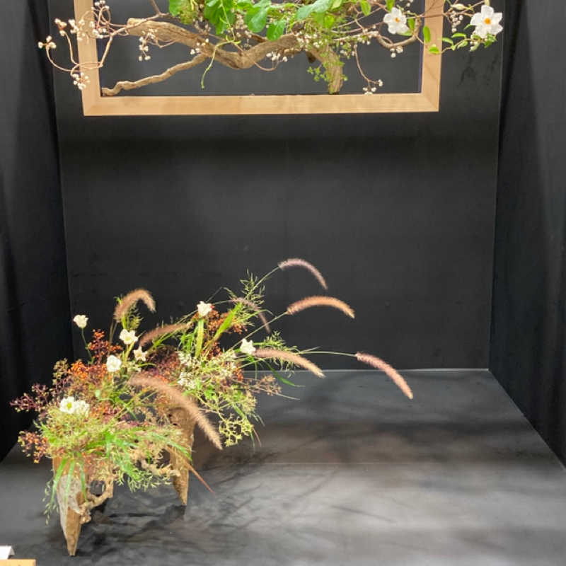 百花繚乱の如き、新しい出席です