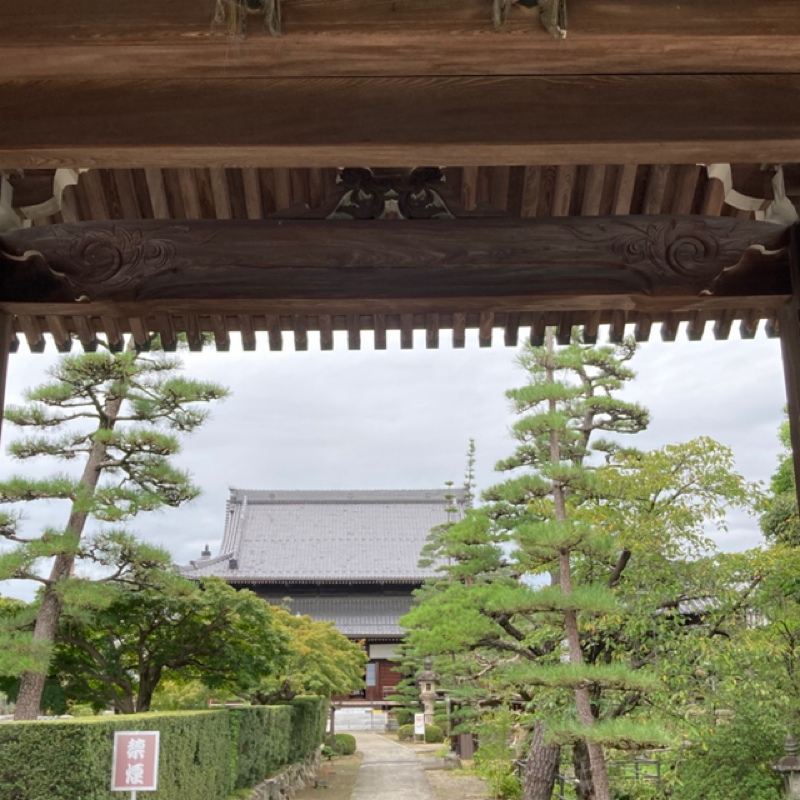 秋の代名詞　中秋の名月は、いかに？