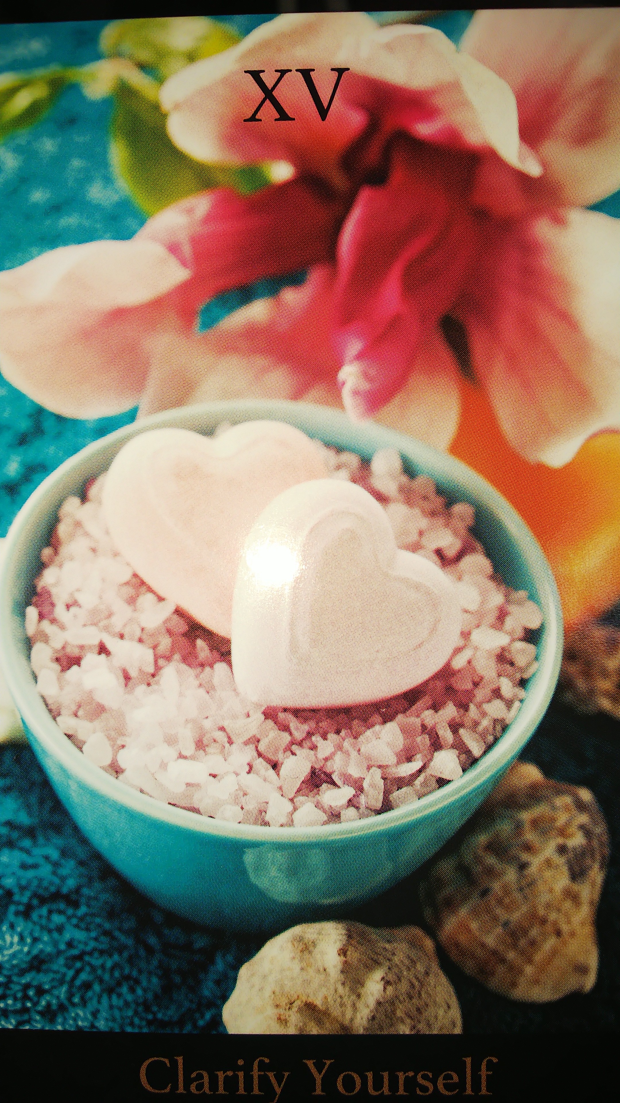  スタートダッシュとアドレナリンと思考力