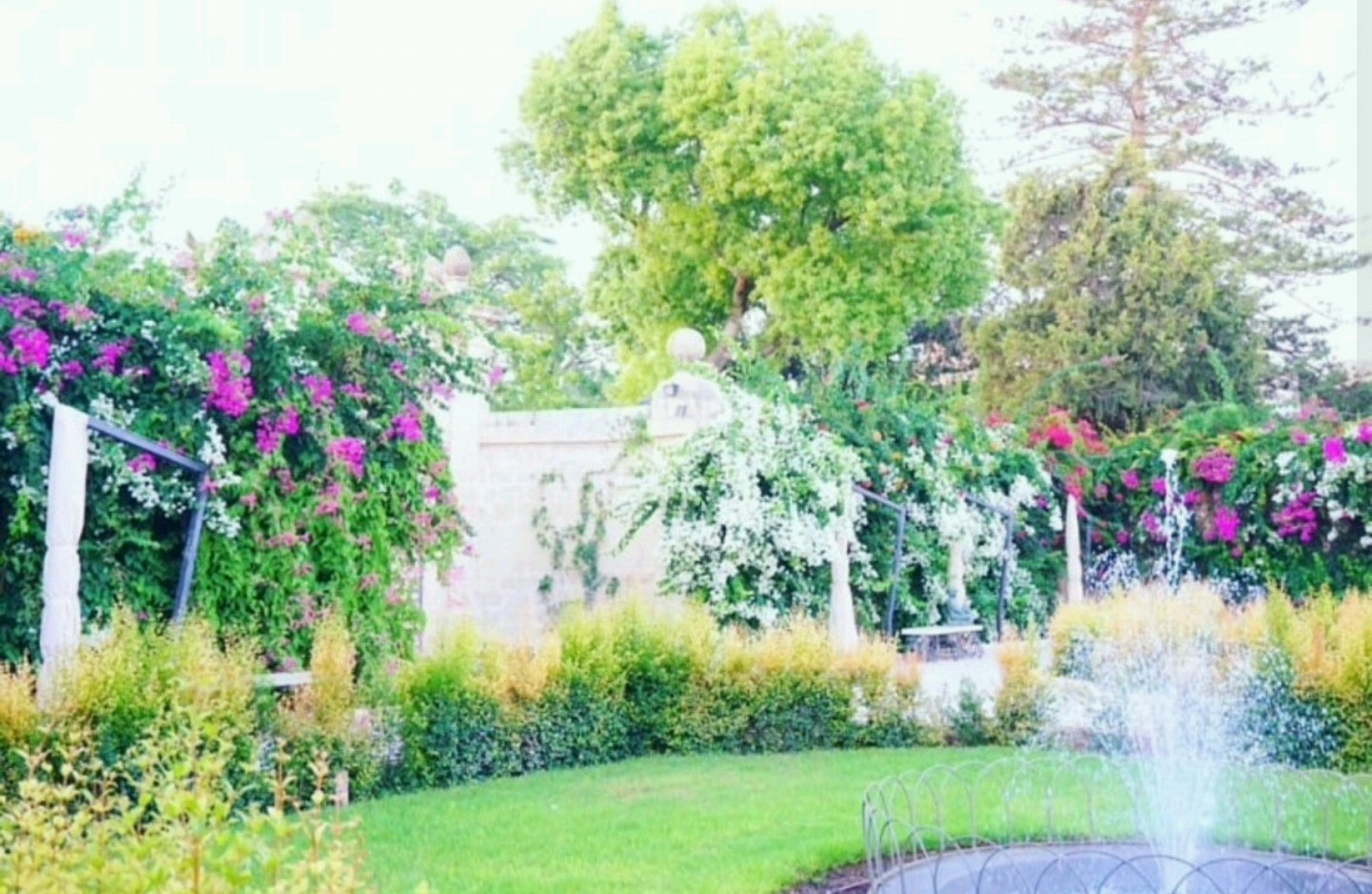 コンサルタントさんの目から鱗の仕事の仕方