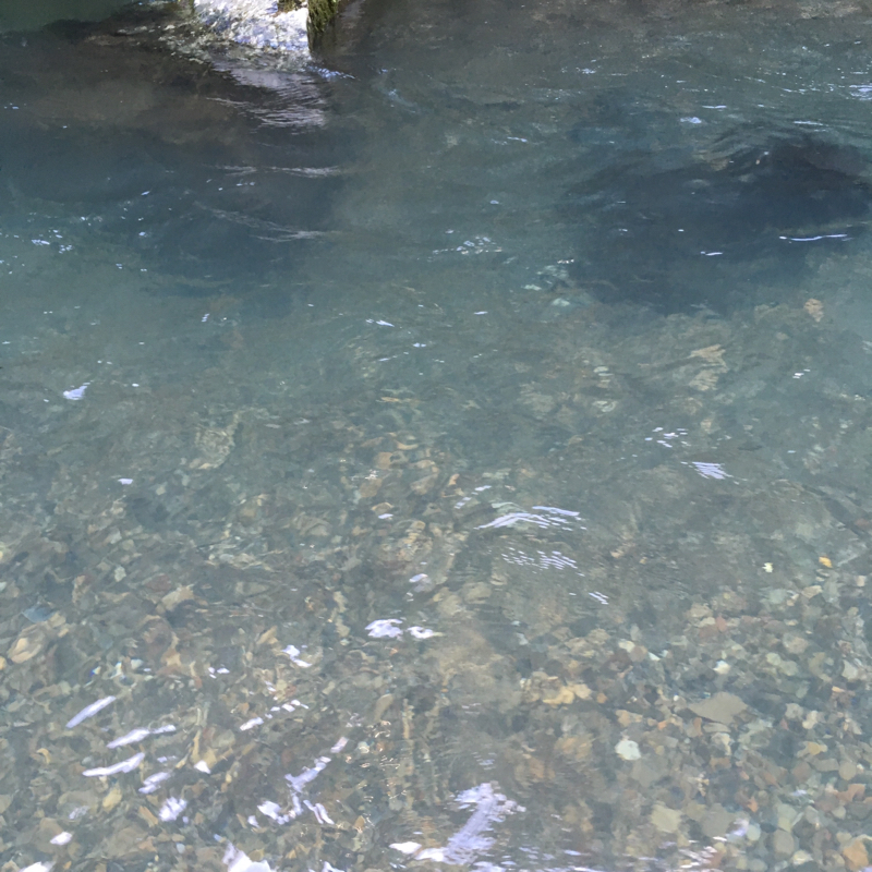 雑食腐女子が喋るだけ