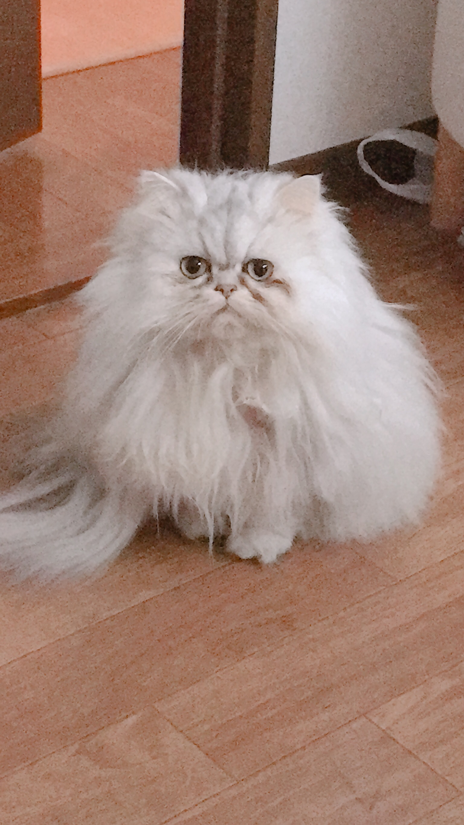 ♯2   めんどくさいけど 勉強するか、、