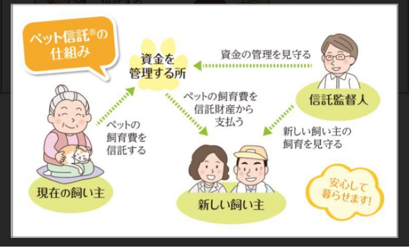 #252    人は何歳までペットが飼えるか？…ペット信託のお話