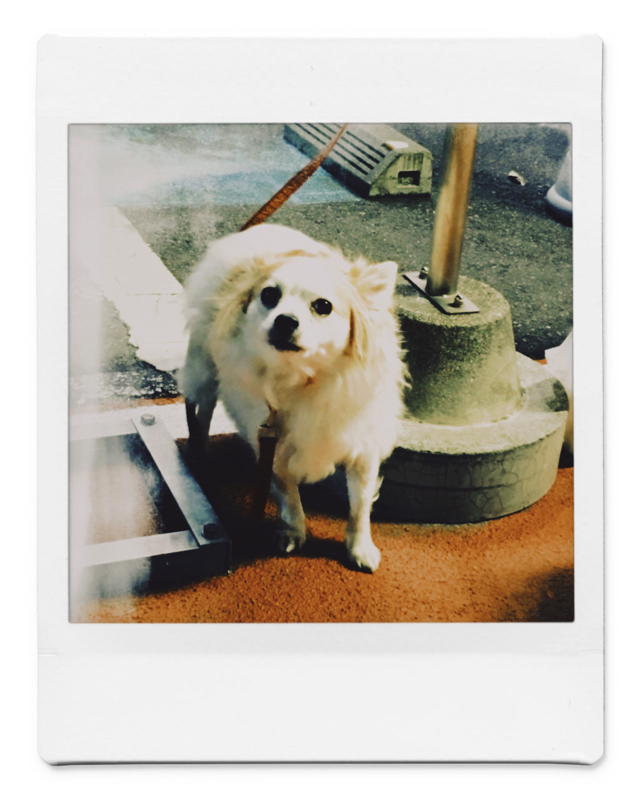 #57「フリートーク 趣味嗜好」