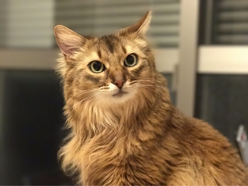 #18「無印のカーディガンが届いた！けど…？」