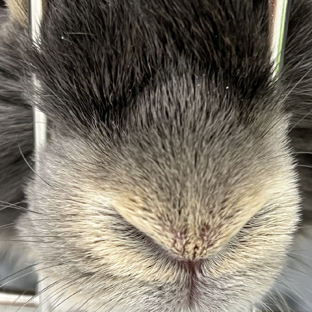 グダグダ芝居語り～😅宣伝も少し🤣