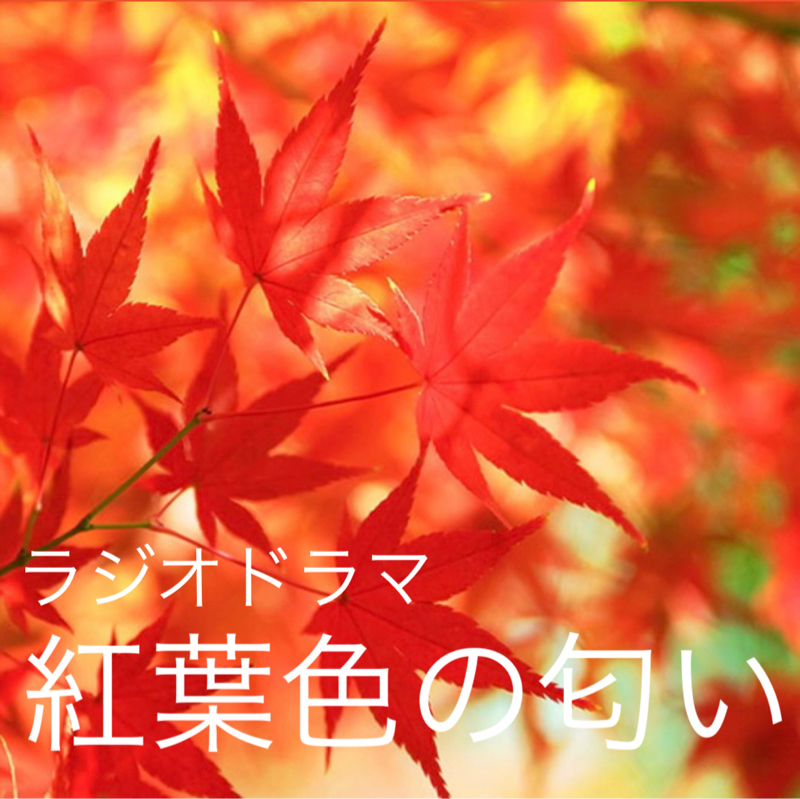 キュン？ﾗｼﾞｵﾄﾞﾗﾏ『紅葉色の匂い』……496