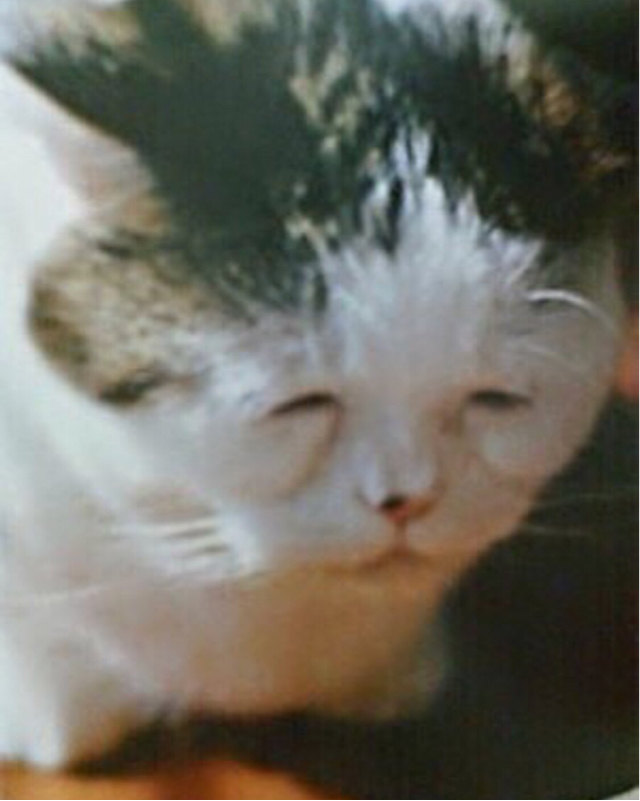 モブ5話にむけて