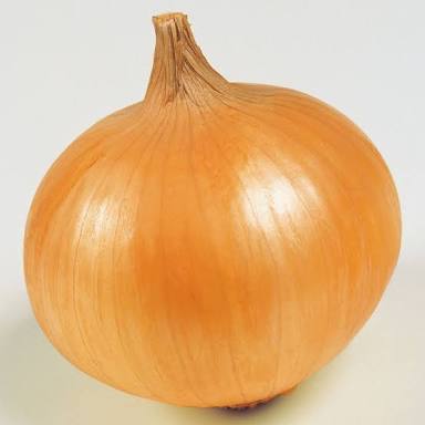 テスト（演技注意）