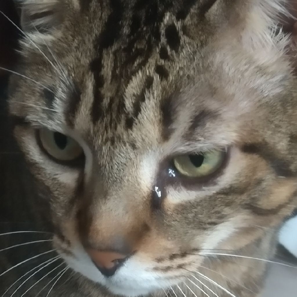 高順(こうじゅん)🐬🦋🌹