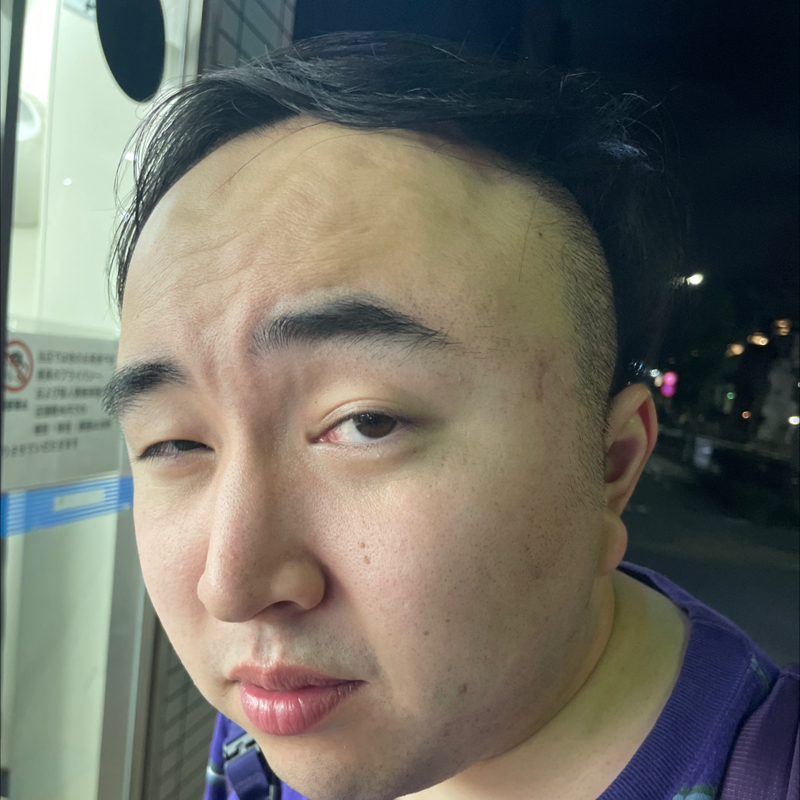 ぷらたなす日記