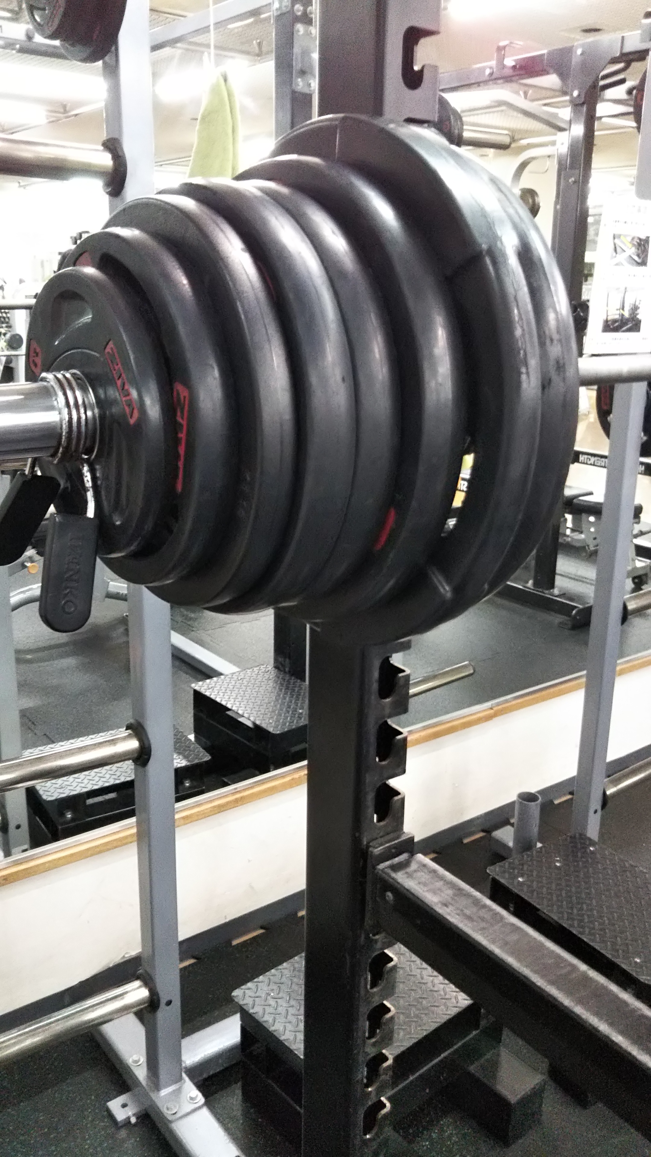 #4おっきぃまったんの250キロ