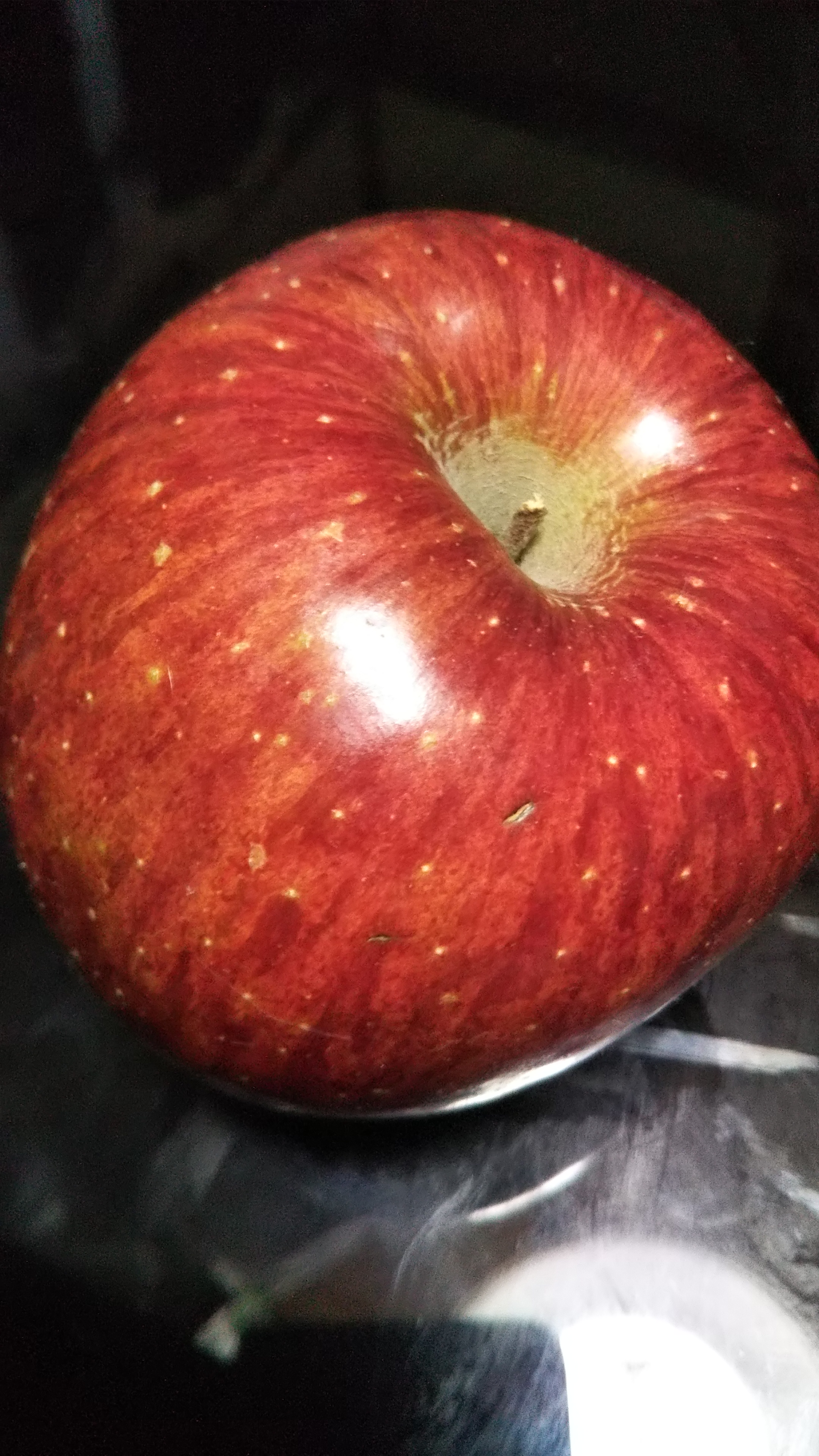 #1おっきぃまったんの250キロ