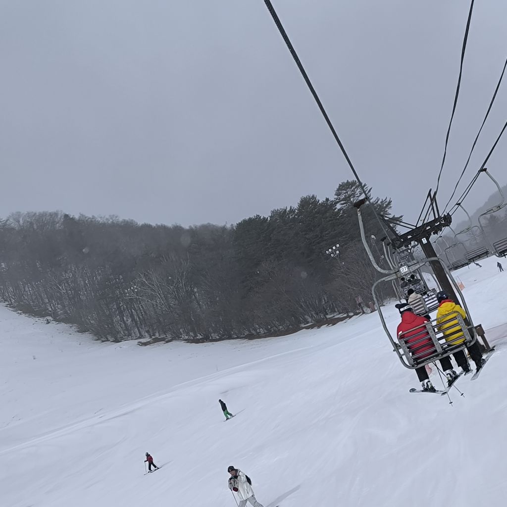 ガオテンの番組