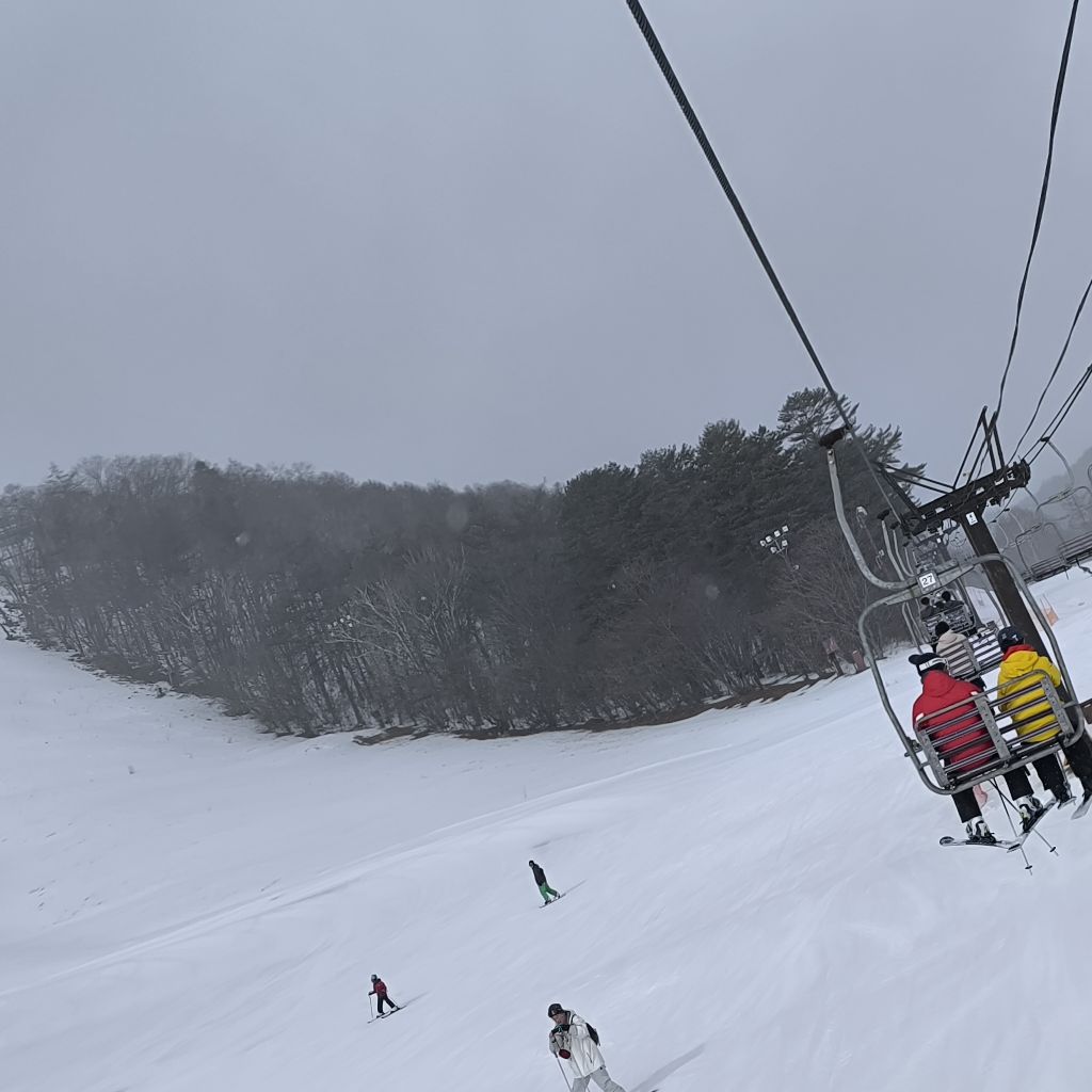 初配信の感想と焦燥と