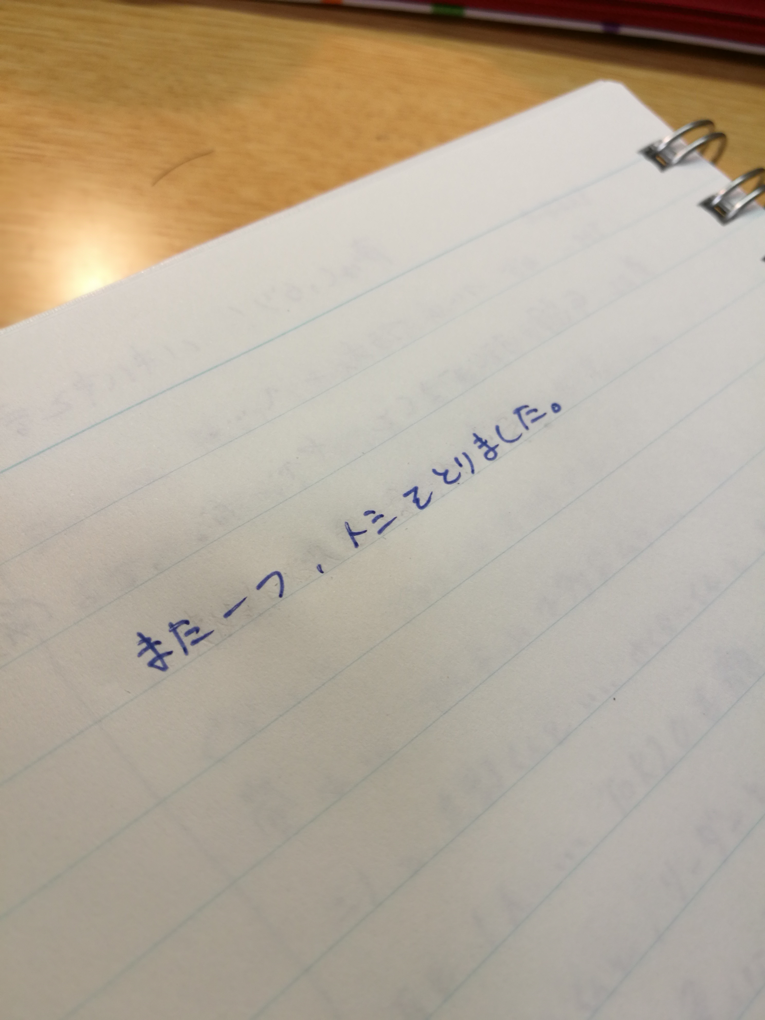 ちゃんとした大人って、難しい(´ｰ｀)