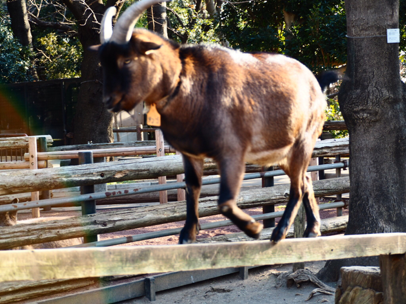 いこさんのワクワク井戸潜り1