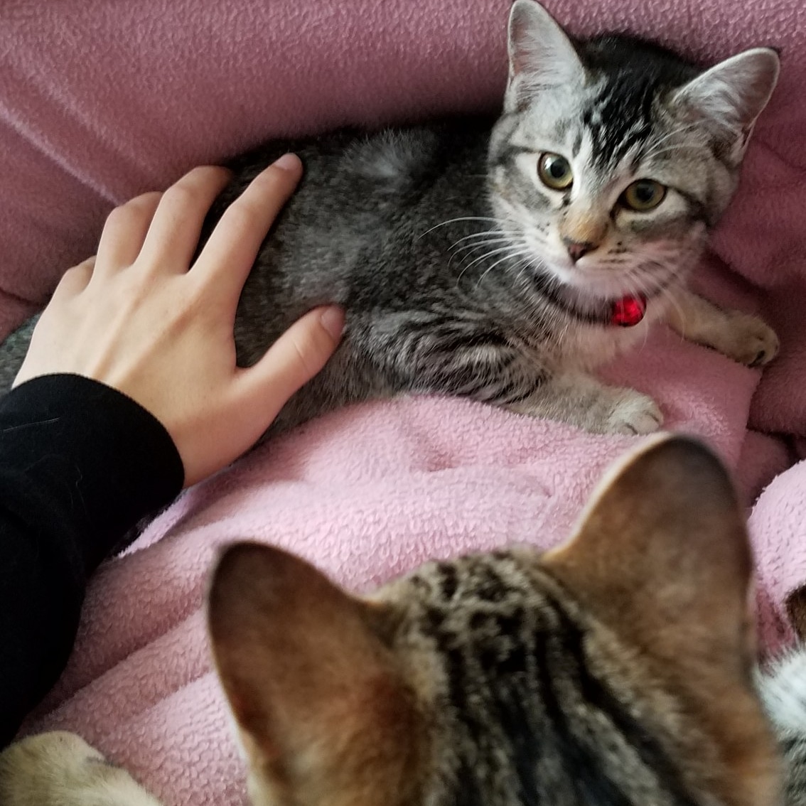 えにいのラジオトークその2