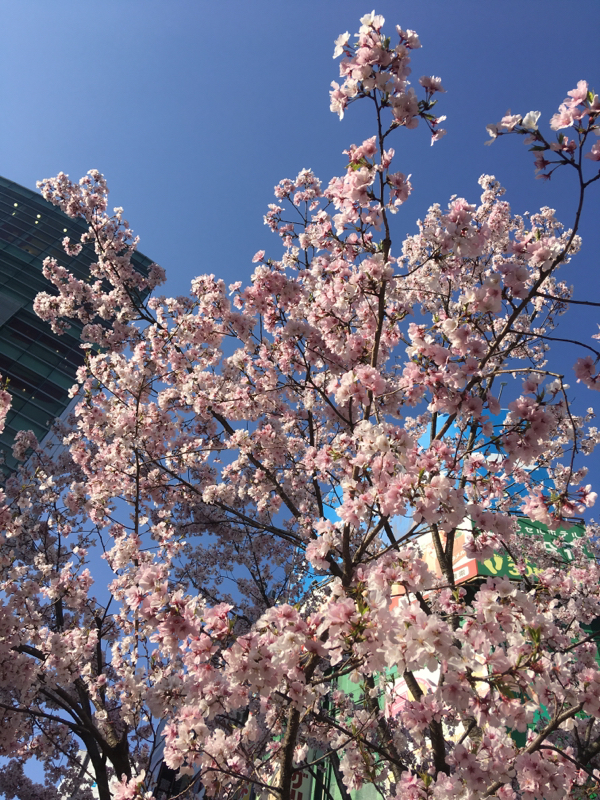 平成最高のゲーム