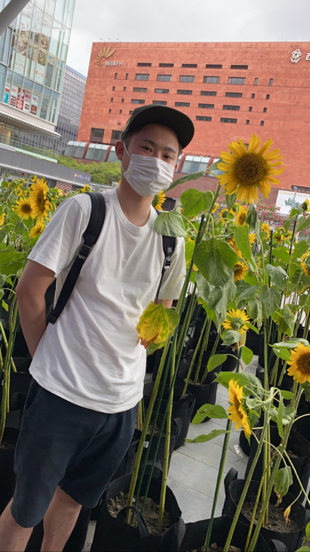 喜喜かいばしら