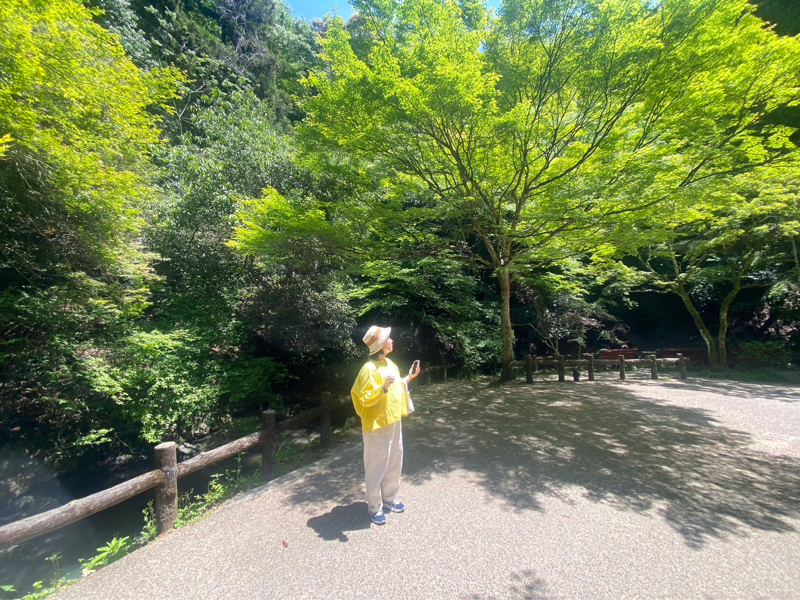 最近作ったうたのつめあわせ