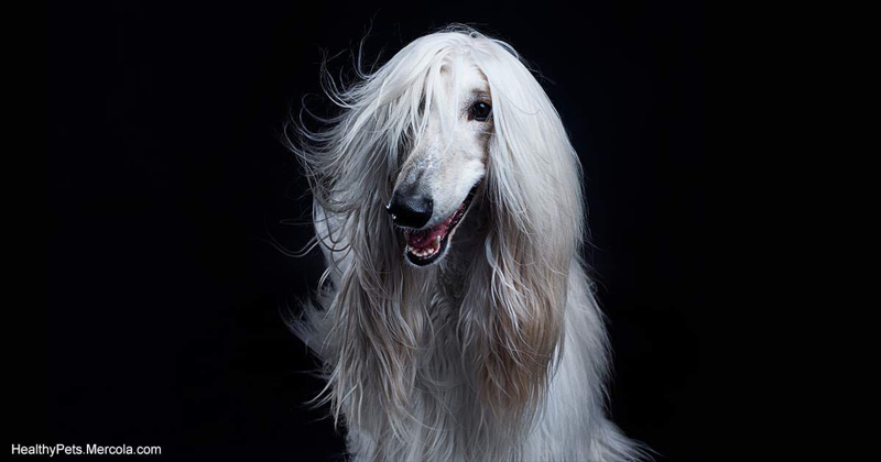 システム企画部門とは？就職の時に活かせる話