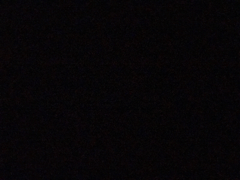 世界の終わりは自カプ