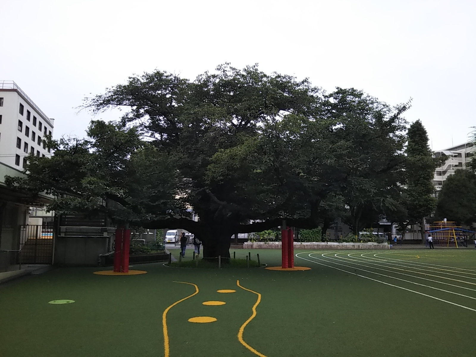 ８／２５の塀ぶつけ