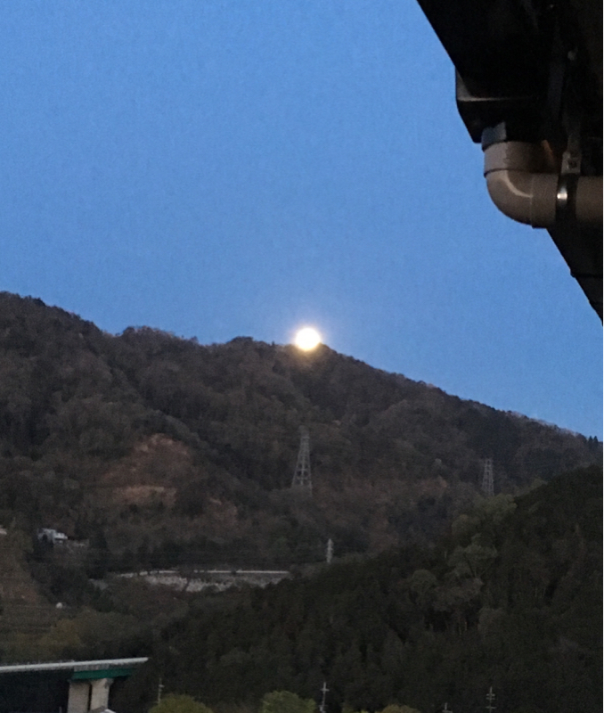 こんな夢を見た