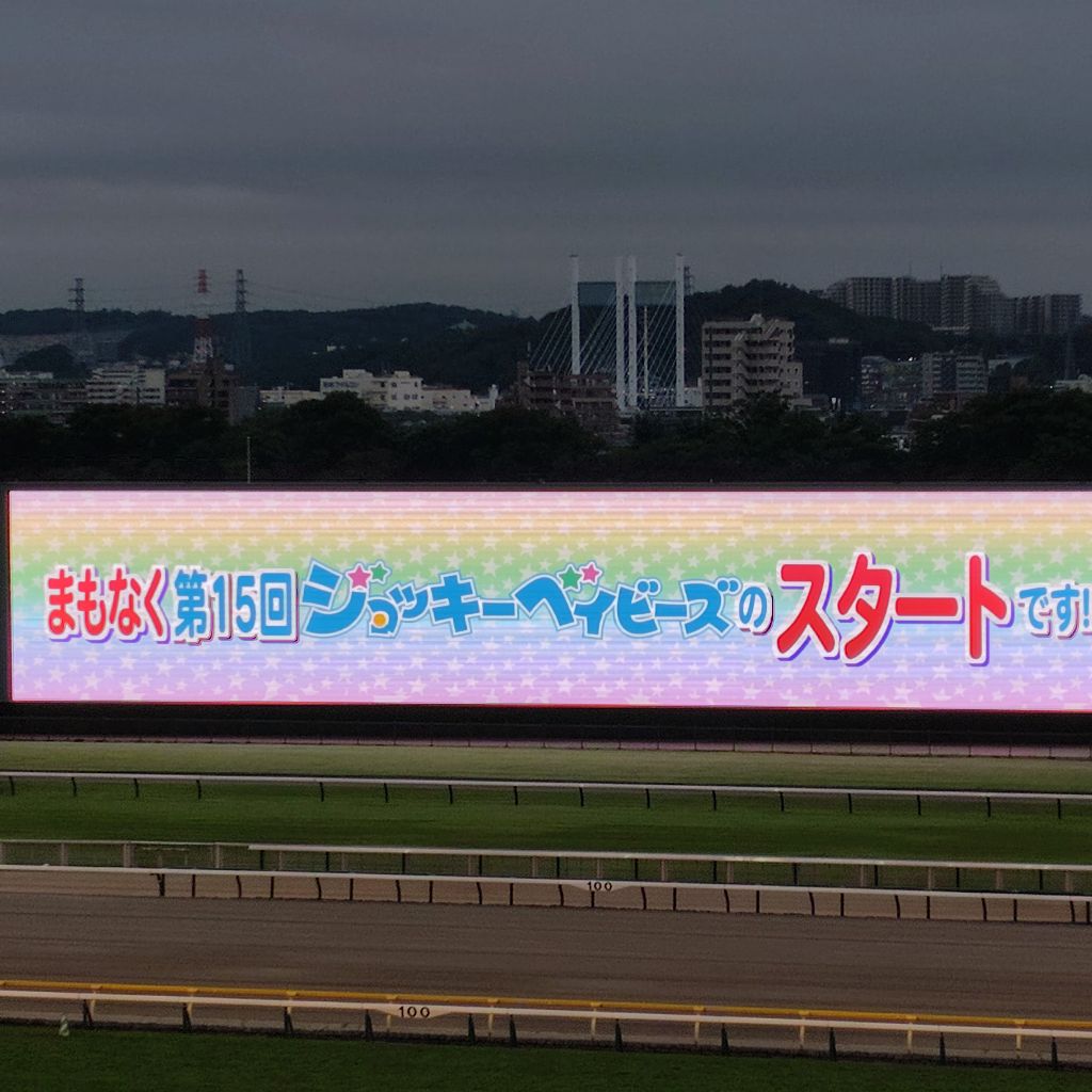 ♯210 ジョッキーベイビーズ、みました!