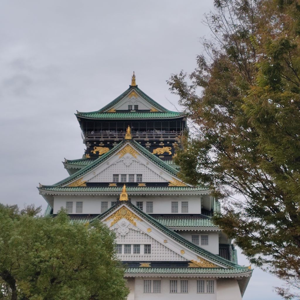 ♯212 大阪でのこと