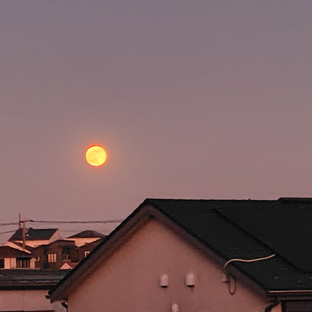 ♯218 静かな夜をお迎えください