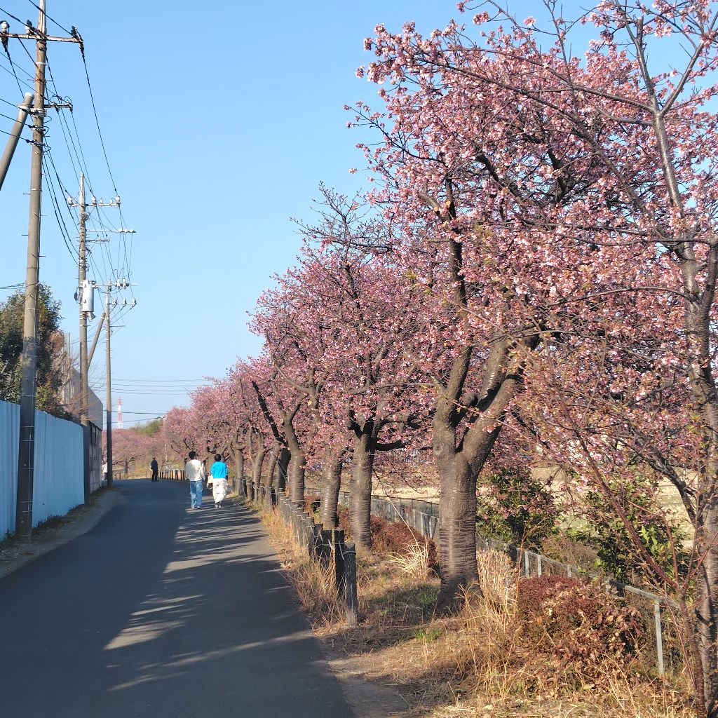 ♯230 お酒はまじでほどほどに。