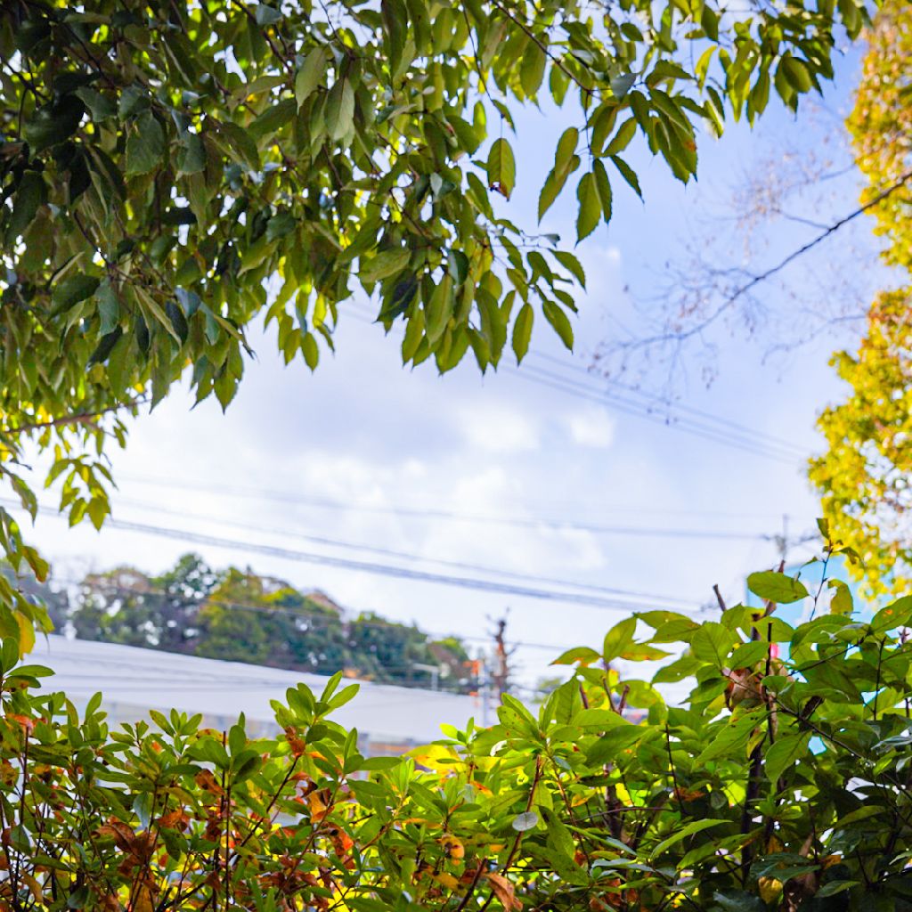 今年のKYASは🌈