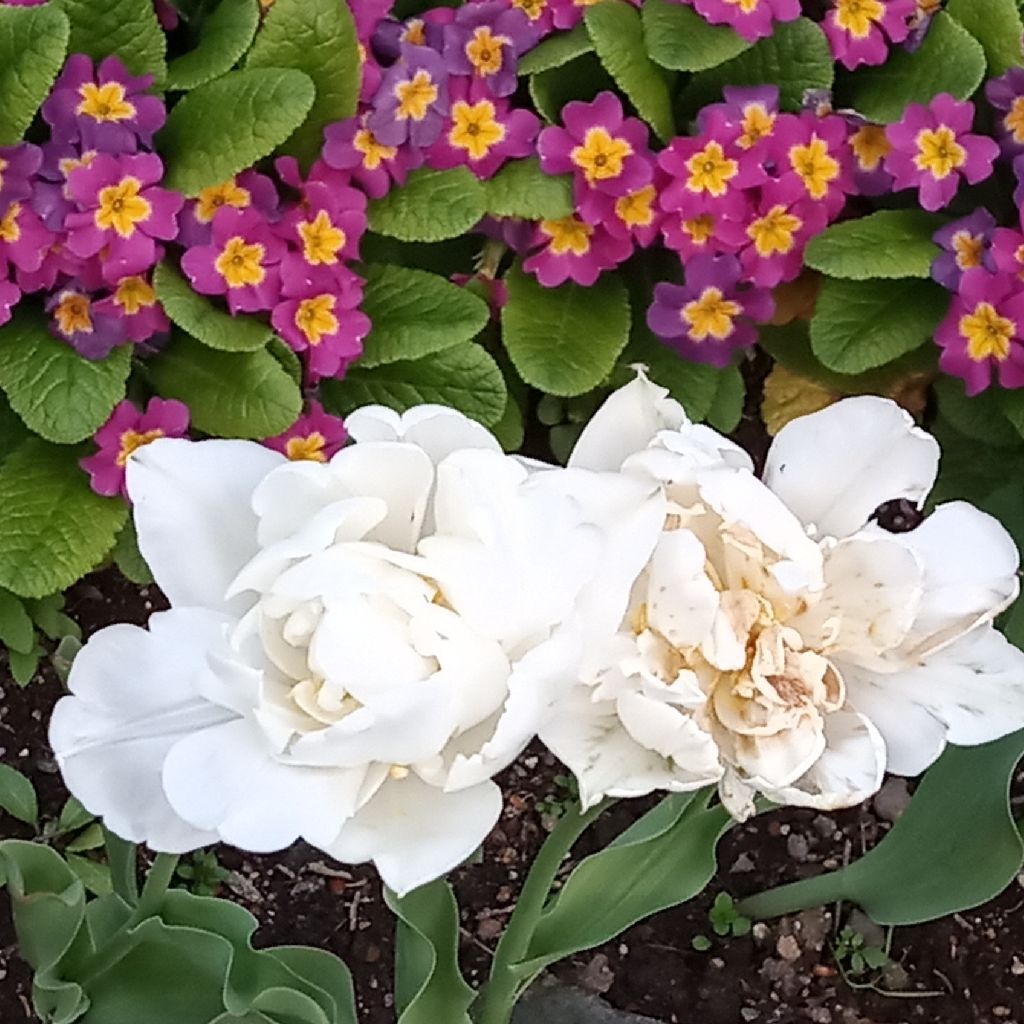 #120　目的を見失う？！