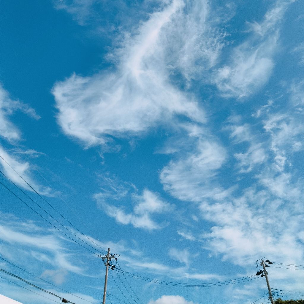 #695 クラフトワーク1日目を終えて