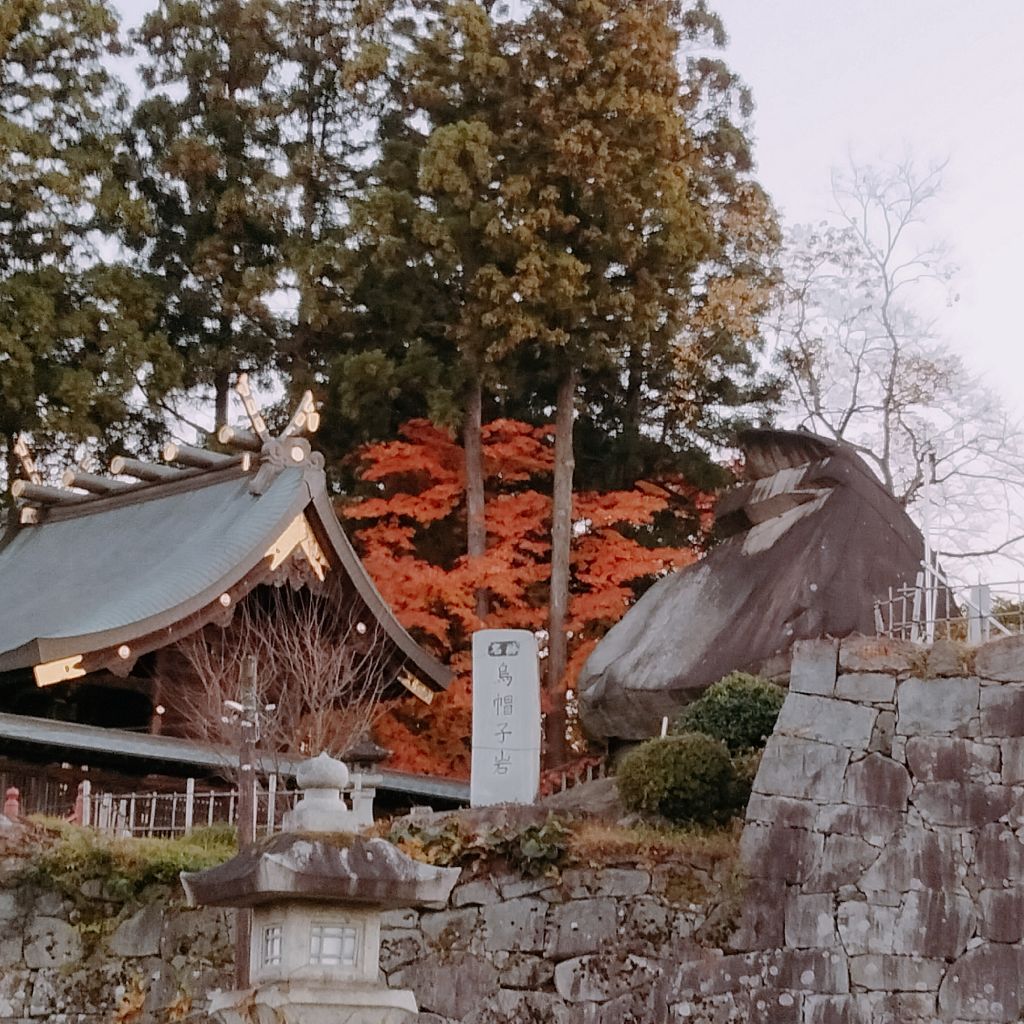 #730　最近の出来事