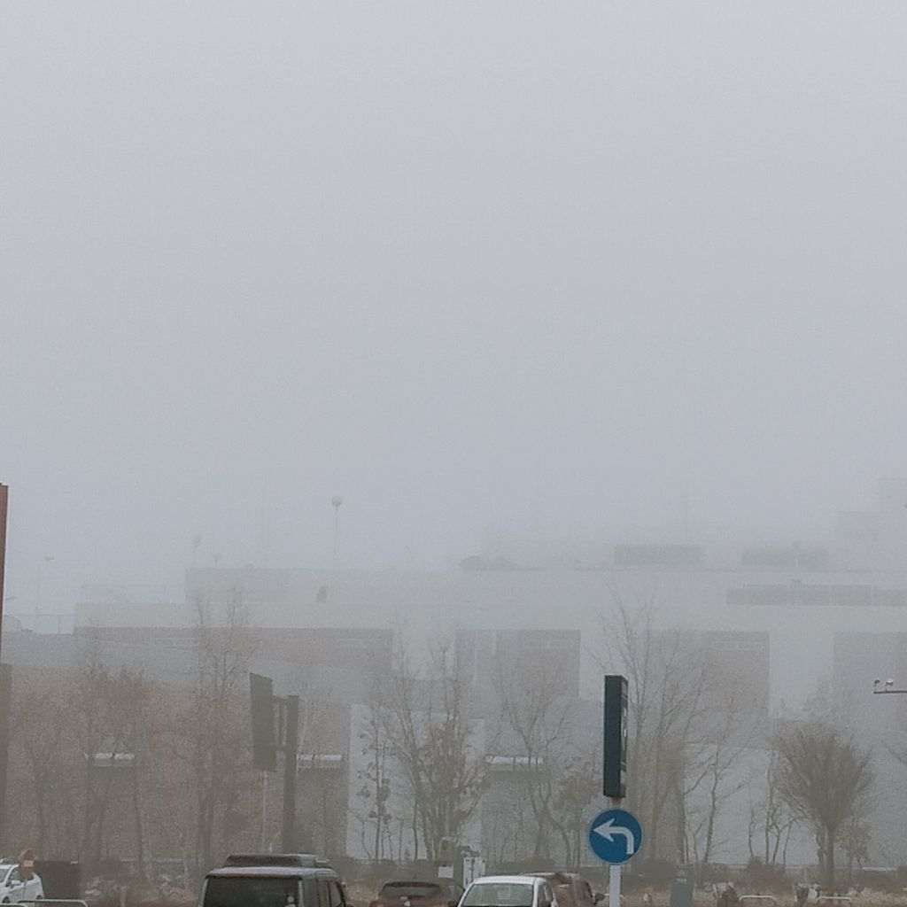 #732　今年を振り返る&来年へ向けて