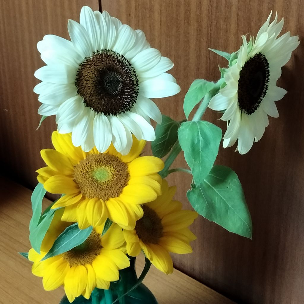#781　片付けは続く〜